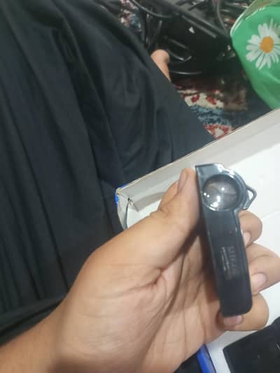 courtesy door light