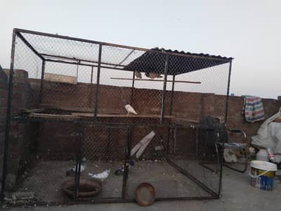 Iron cage for sale