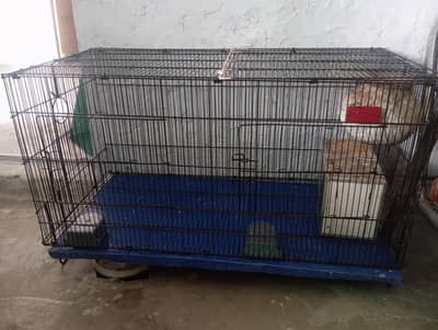 Bird parrot cage with partition   2 dolly sath ha without boxes a