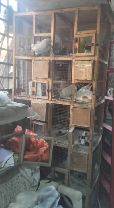 Cages & Breeding Box for Sale