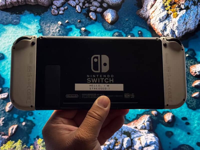 Nintendo Switch 1