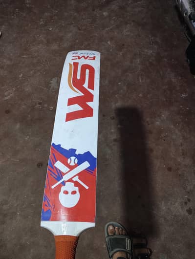 WS bat