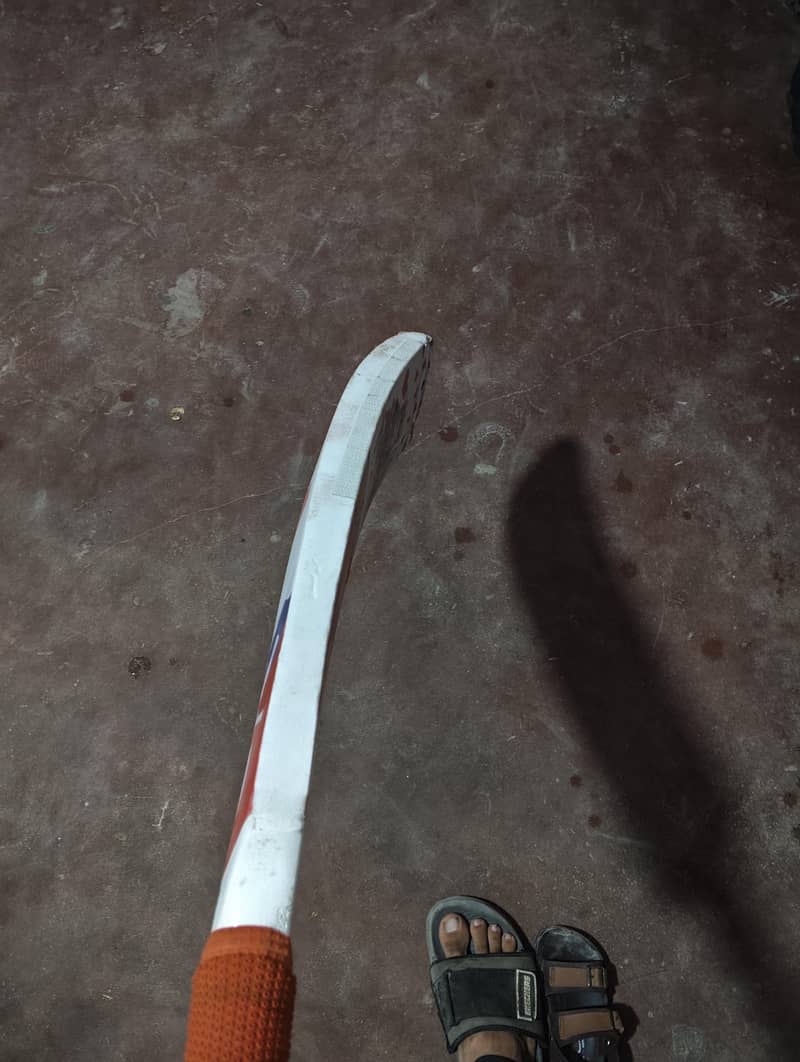 WS bat 1
