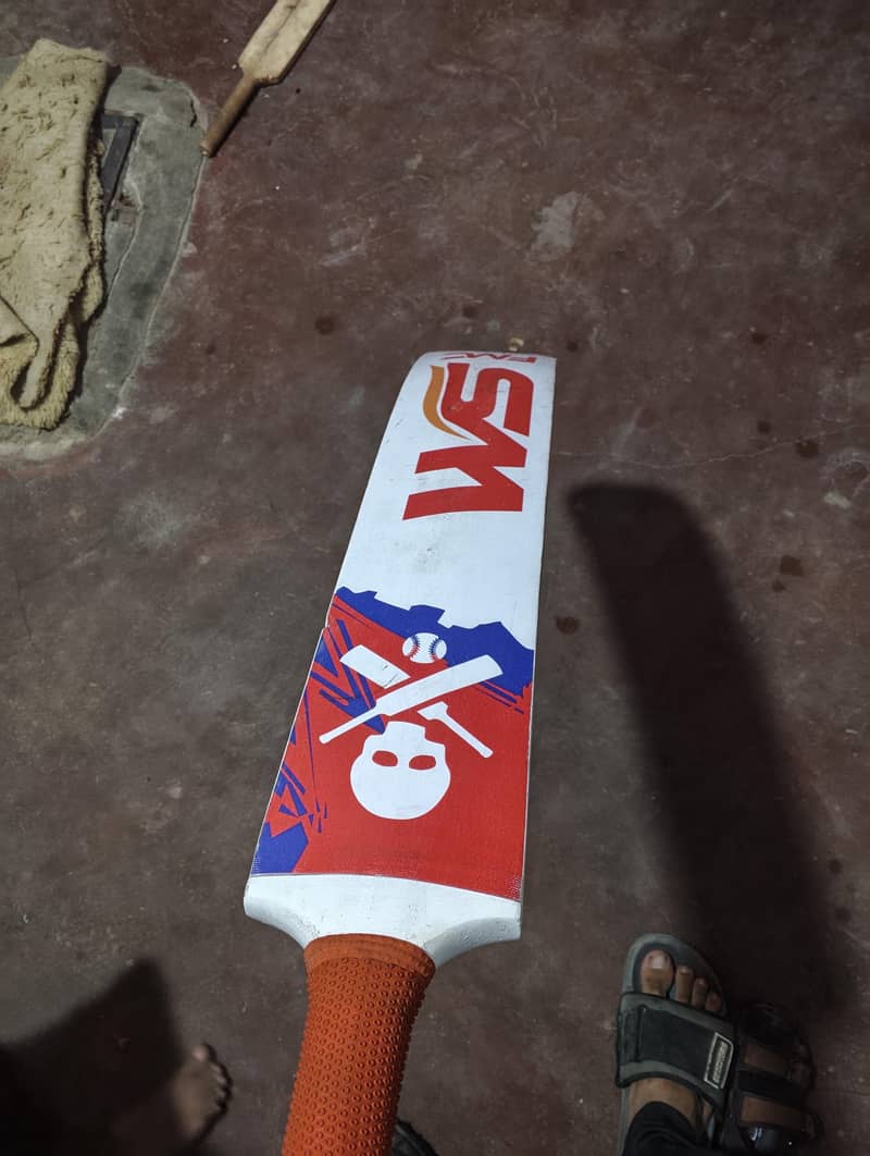 WS bat 2