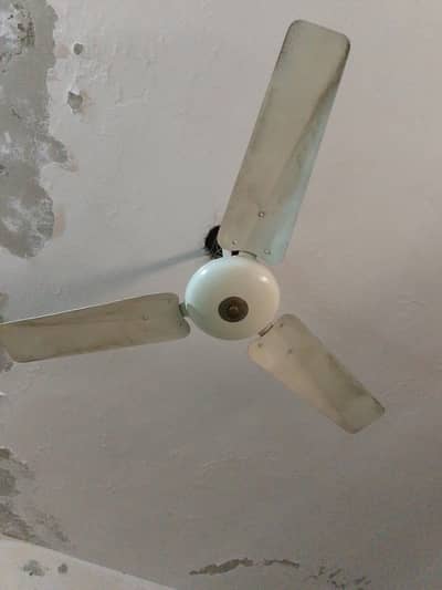 pak fan