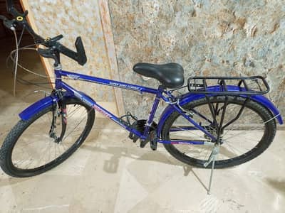 Super Phoenix / Super Sony Classic Bicycle, Excellent Condition