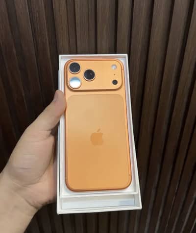 iPhone 17 pro max