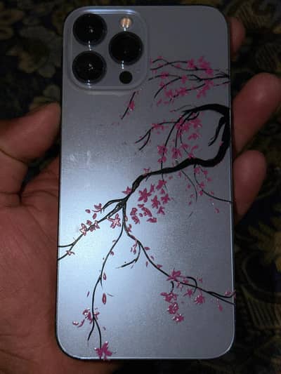 Apple iPhone 13 Pro Max
