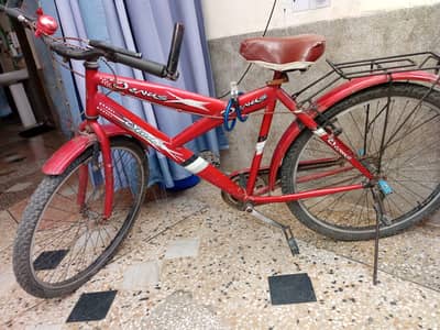Venus bicycle full size
