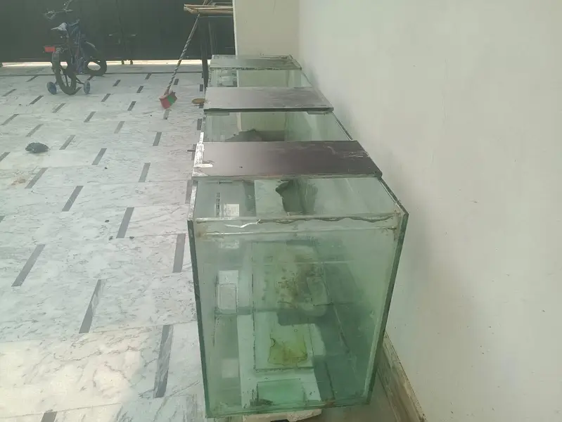 Big Size Fish Aquarium with Stand — photo 2
