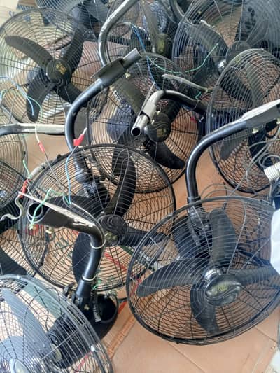 Royal Bracket Fan