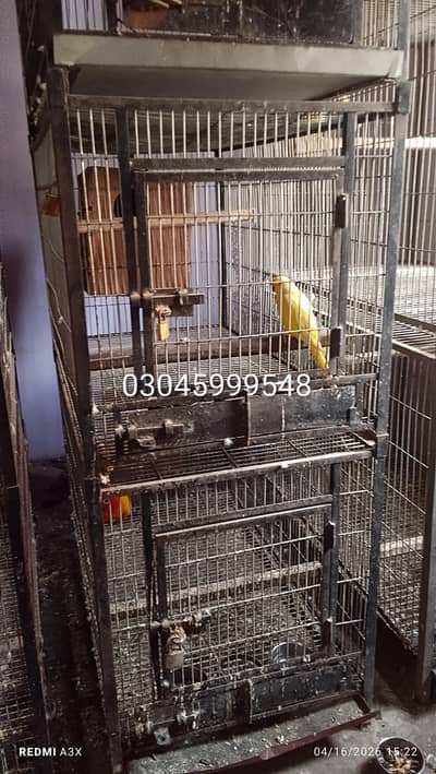 cages for parrot