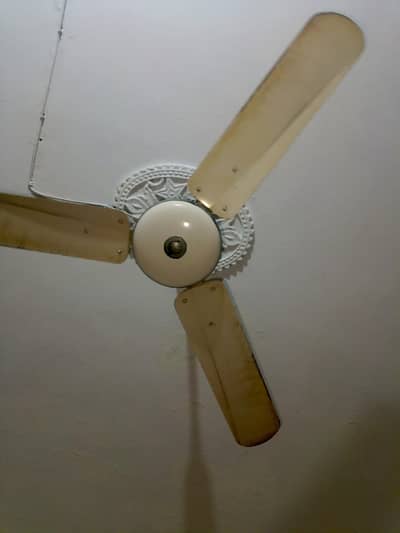 used fan
