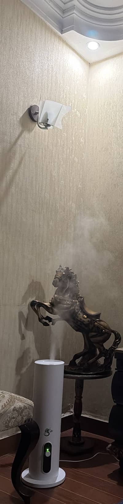Humidifier condition 10/10 only 10 min use