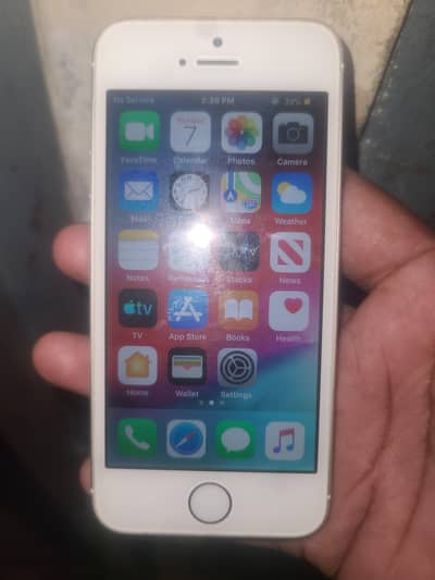 Apple iPhone 5s