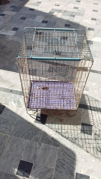 Cages Available For Sale