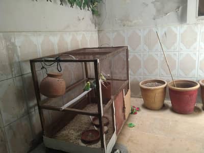 Cage for sale