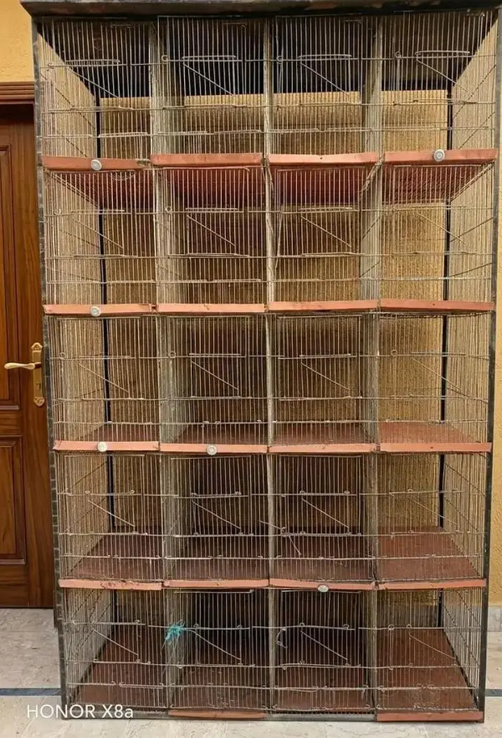 20 Khanon wala Mazboot Pinjra (With Separate Trays)