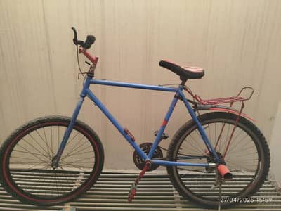 phoenix cycle