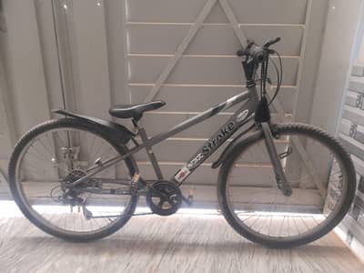 Stroke Sport Cycle