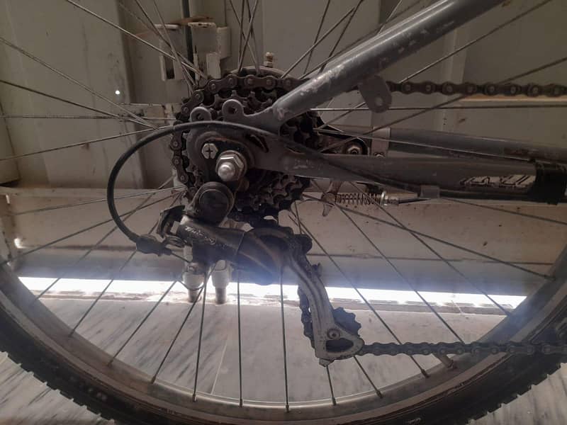 Stroke Sport Cycle 5