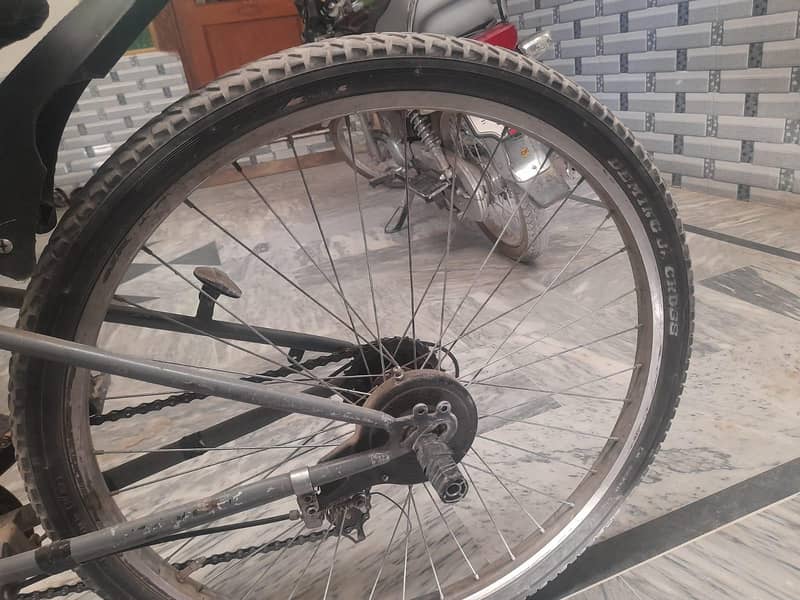 Stroke Sport Cycle 6
