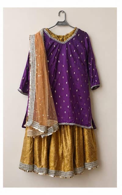 Beautiful Fancy Ghagra Dresses For Sale