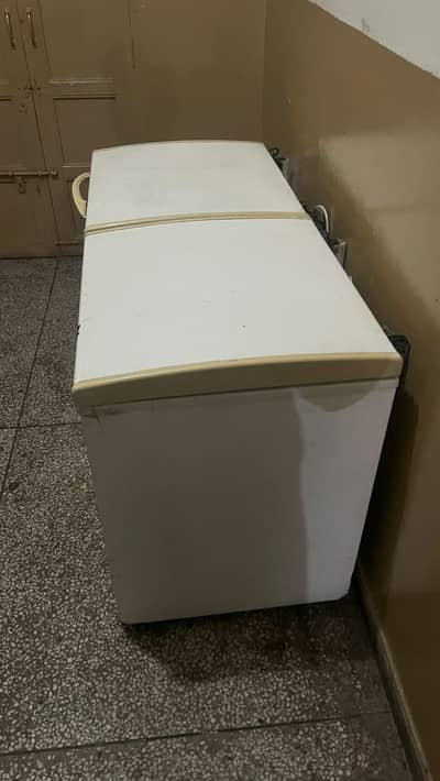For Sale