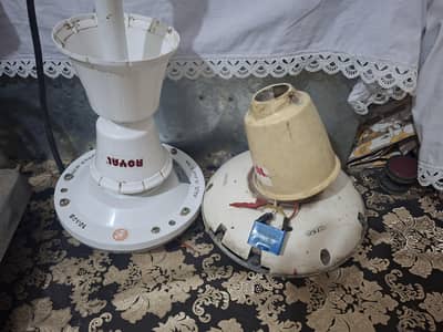 Royal fans for sale