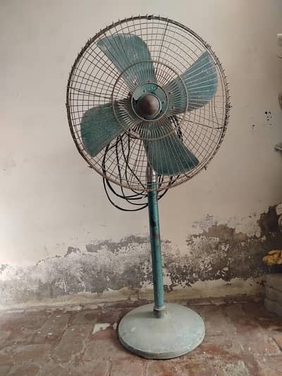 Best Pedestal Fan 12"