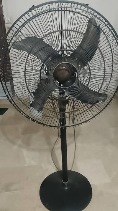 royal fan