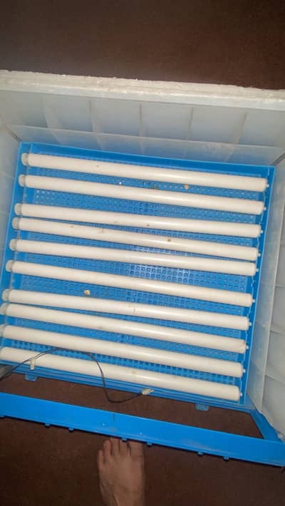76 eggs ,fully automatically incubator
