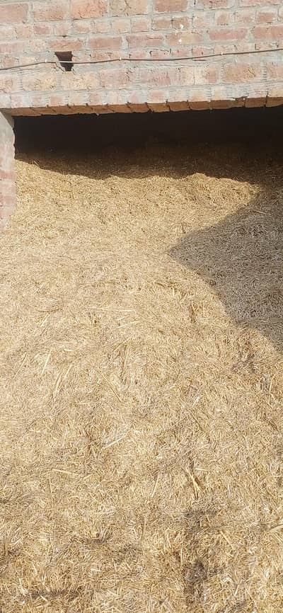 toori for sale