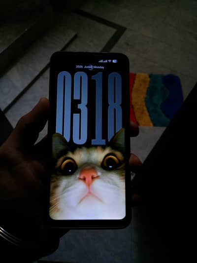 Xiaomi 13c 4+2/128 Only Phone