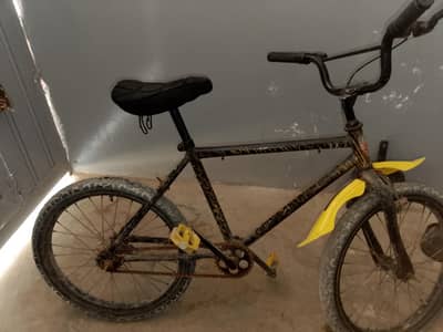 Good condition cycle 10 to 14 years cycle for sale