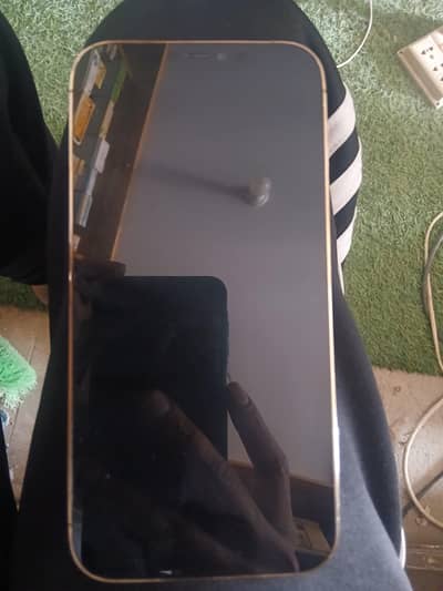 Apple iPhone 12 Pro Max