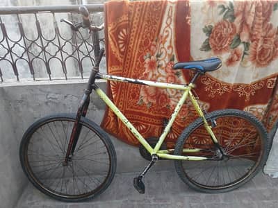 phoenix cycle 26 inch