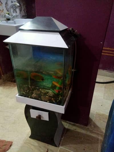 Aquarium Tank with Stand. .