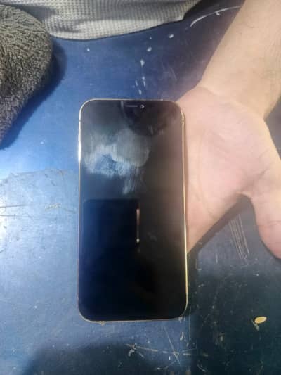 Apple iPhone 12 Pro