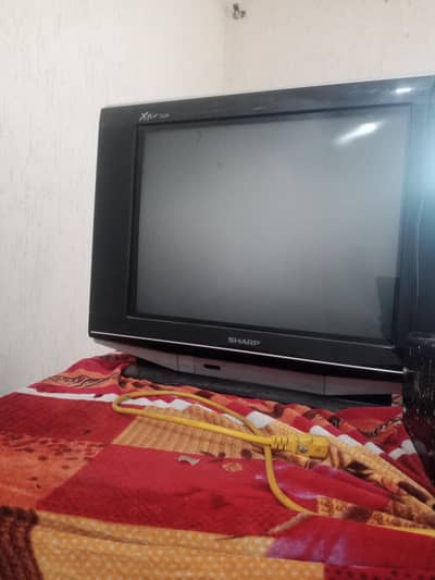 sharf tv