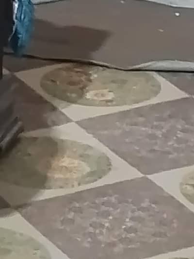 full size hall carpet
