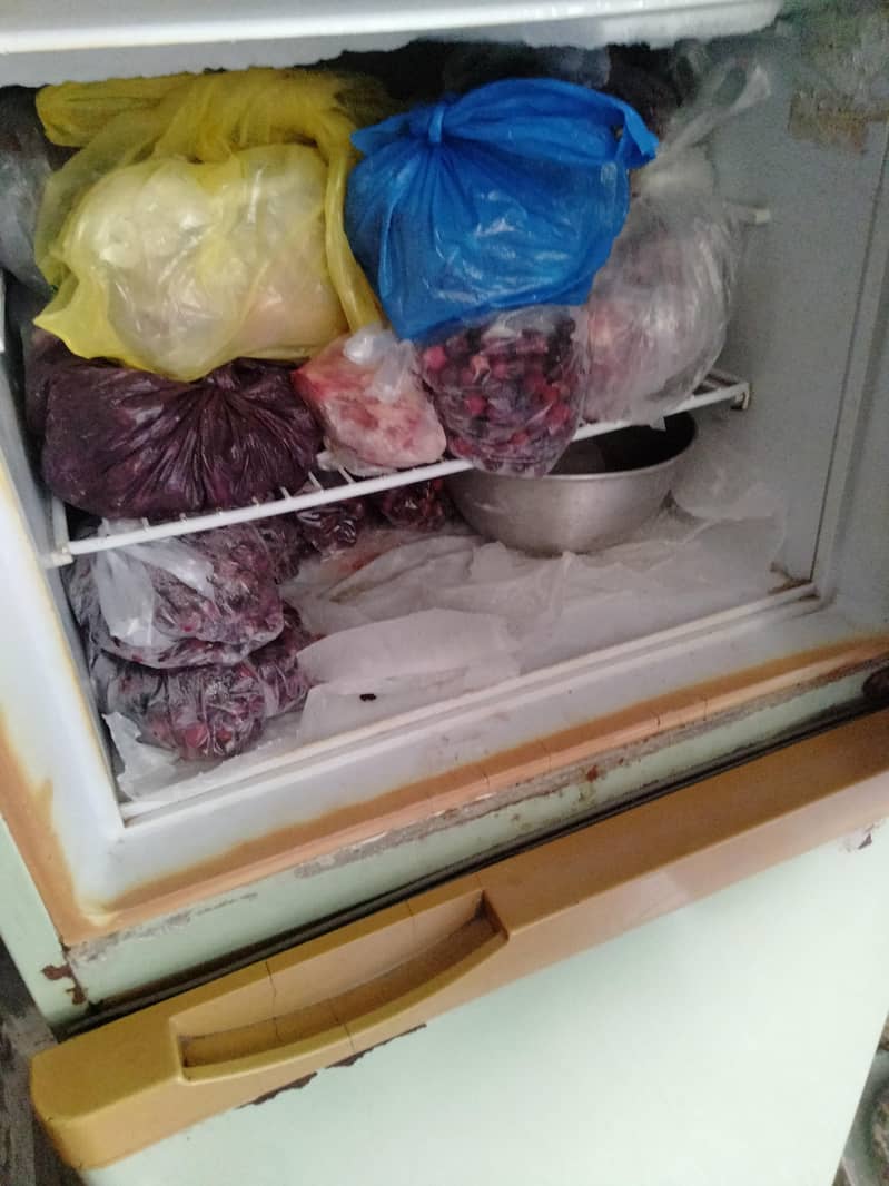 Dawlance Fridge 4