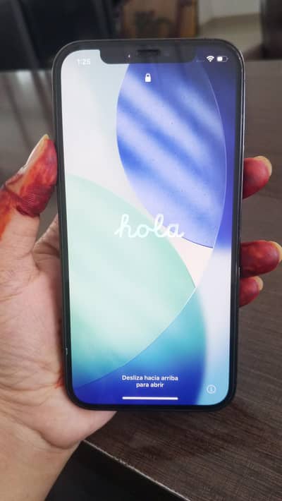 Apple iPhone 12 Pro Max