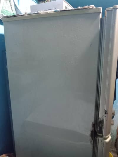 fridge cooling bilkul Sahi h pel