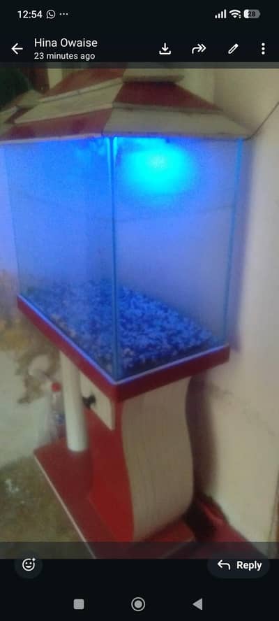 aquarium