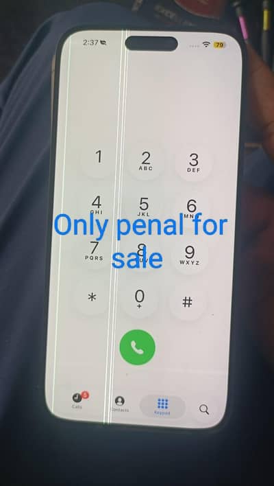 Apple iPhone 14 Pro Max penal