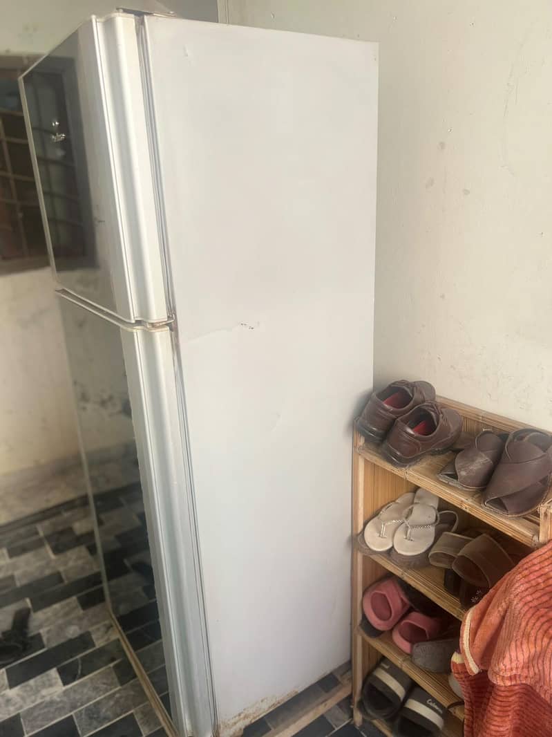 fridge 1