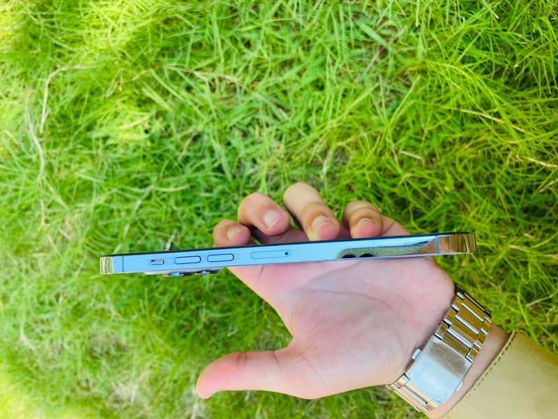 Apple iPhone 13 Pro Max 2