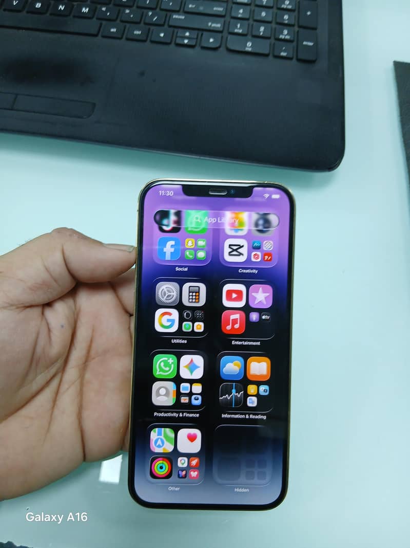 Apple iPhone 12 Pro Max 1