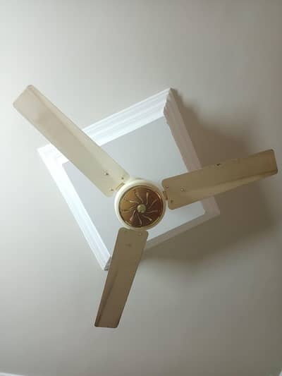 Roof Fan